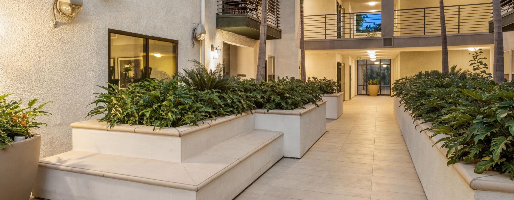 a courtyard with plants and a building